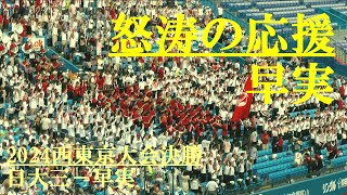 怒涛の応援　早実　日大三－早実(2024西東京大会決勝)　全国高校野球選手権