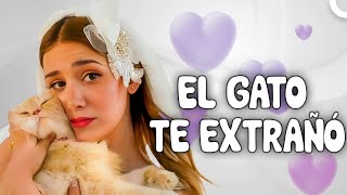 La Leyenda del Amor de Dos Corazones 💘 | El Gato Te Extrañó (Subtítulos En Español)