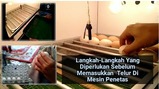 Persiapan Sebelum Memasukkan Telur Ke Mesin Penetas Full Otomatis