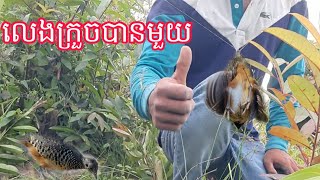 ថ្ងៃនេះសំណាងណាស់ដាក់ធ្នាក់បាន សត្វក្រួចអឺត ហើយខ្ញុំនឹងប្រាប់ពីរបៀបដាក់