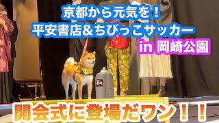 イベント開会式に呼んでもらったワン！嵐山の柴犬ジェームス！～Shiba inu james by kyoto～