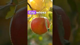 Czy wiesz, że pektyny zawarte w jabłkach... ? #apple #jabłka #shortsvideo