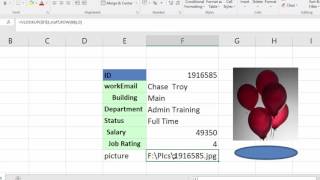 استدعاء صورة الموظف من مجلد بالاكسيل Vlookup Picture VBA