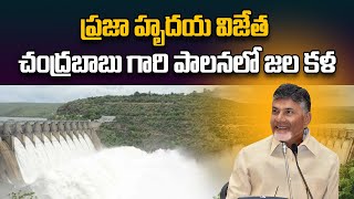 ప్రజా హృదయ విజేత చంద్రబాబు గారి పాలనలో జల కళ | CM Chandrababu Naidu | Rajaneethi