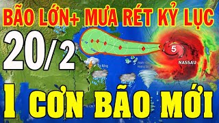 Tin bão mới nhất | Dự báo thời tiết hôm nay và ngày mai 20/2/2025 | dự báo 3 ngày tới #thoitiet