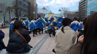 [公式]京炎そでふれ！咲産華 3/11 浜松がんこ祭　東街区ロータリー