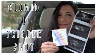 CLOMID100MG/IUI/TRIGGER SHOT EXPERIENCE-SECONDARY INFERTILITY/TTC BABY NUMBER 2!