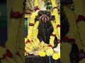 chagantikoteswararaopravachanamlatest chaganti devotional omnamahshivaya trending