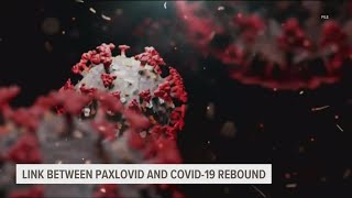 The link between Paxlovid and a 'COVID-19 rebound' case