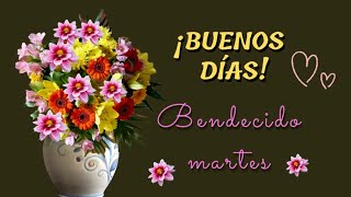 Buenos días. Lindo martes para ti. Bendiciones