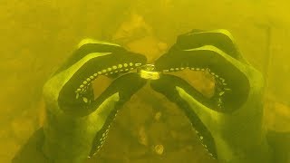 Found $3,000+ Wedding Ring in the River! (Scuba Diving)