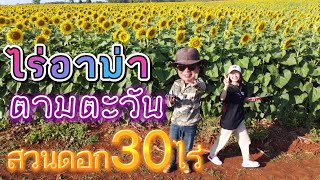 สวนดอกทานตะวัน30ไร่ ตามตะวัน ไร่อาม่า 2023 จ.ตาก | #อาต๋องยุแยง EP77