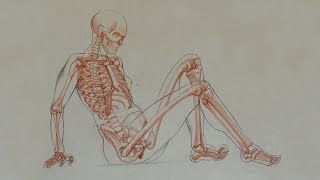 Female Anatomy for Artists - Anatomy Master Class