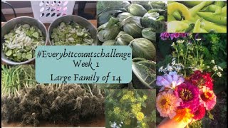 #everybitcountschallenge - Week 1/ Large family of 14 growing their own food!