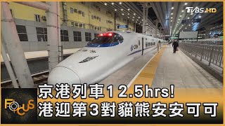 京港列車12 5hrs! 港迎第3對貓熊安安可可｜方念華｜FOCUS全球新聞 20241210