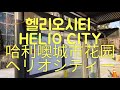 헬리오시티 219동 앞 양재대로 버스정류장 helio city 首尔买房 ソウル マンション seoul apartment