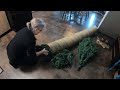 🎄watch this quick hack to store your christmas tree