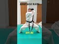 fundamental karate blocks shorts karate martialarts mpelitefitness