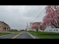 Scenic Drive Morgantown, Lancaster County, PA to Stevens, PA. Amish Farms. Springtime!