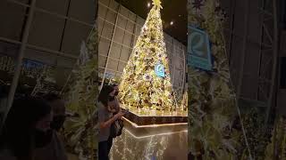 Giant Christmas Tree Viewing At Robinson's Magnolia #travelvlog