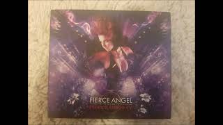 Fierce Angel: Fierce Disco 4 - Mix 3