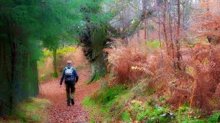 A Dander Up the Knock of Crieff