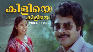 Kiliye Kiliye Video Song | Malayalam Songs | Ilaiyaraaja |  S. Janaki | Mammotty | Aa Rathri Movie