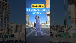 Хаммага насиб килсин...амийн деб ёзиб кетинг🤲