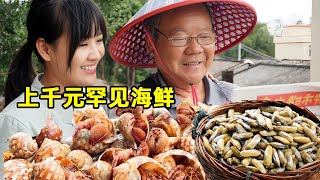 外海渔民送罕见海鲜给阿渔妹，感谢渔爸救命之恩，一条就上千元太珍贵了！【阿渔妹】