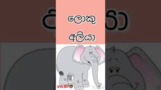 ලොකු - පොඩි සංකල්පය