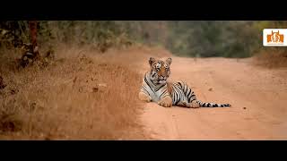 Me Tadoba | Maharashtra Tourism |