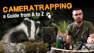 DSLR-Cameratrapping Wildlife Beginners Guide: Everything you need to Know!
