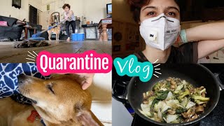 VLOG || Life In Quarantine ...