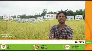 Syngenta NK 5231 testimonials Video@syngentapaddy2877