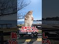 和歌山に移住してyoutuberになった経緯を超雑にまとめました