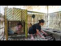 FULL VIDEO: 500 Busy Days of Construction - 16-Year-Old Single Mother Builds a Bamboo House Alone