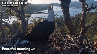 FOBBV CAM🦅Peaceful Morning🌅😊2023-05-30