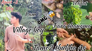 Kamio thangui tamo tamo mankha tubukha Ang paya paya khe / #part - 2 vlog / @Bishalbhaivlog