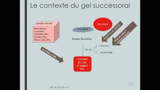 Semaine 14 - Capsule 2 - Le Gel successoral