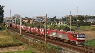 2015/10/20 EH500-8（金太郎）牽引 94レ ＠新白岡～白岡（白岡陸橋）