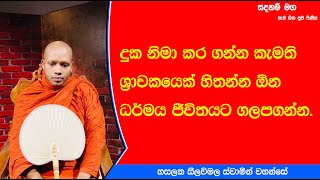 ධර්මය ජීවිතයට ගලපගන්න.377Ven Hasalaka Seelawimala Thero