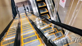 【超新品 東芝エスカレーター】栄BINOの新しいエスカレーター 《カインドムーバー・最新型》 Brand new TOSHIBA Escalator Sakae BINO