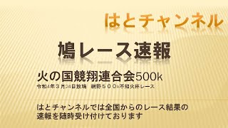 網野500k不知火杯