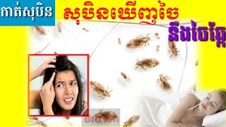 សុបិនឃើញចៃនិងចៃឆ្កែ-Dreaming seeing of lice