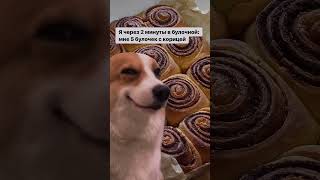 Отправь своему бро 😅💪