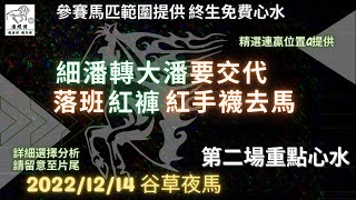 港經佬賽馬貼士及分析｜第二場參賽馬匹資料｜14-12-2022 跑馬地九場夜馬谷草賽事｜免費心水及賽馬貼士｜全方位博彩及投資頻道｜足球｜賽馬｜股票｜樓市 #賽馬貼士