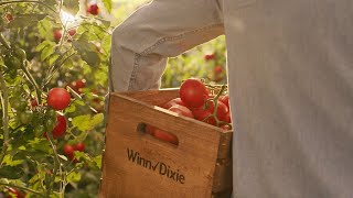 Higher Quality, Lower Prices. Winn-Dixie Checks Every Box.