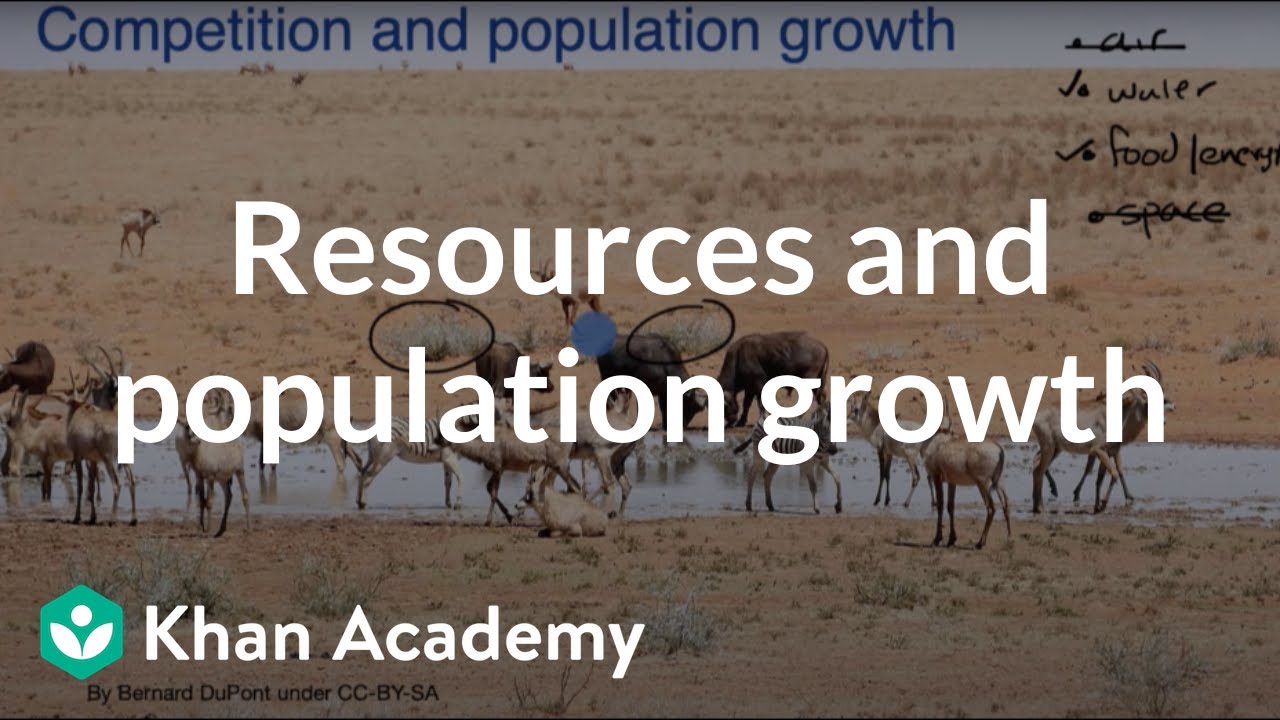 Resources And Population Growth | Interactions In Ecosystems | Middle ...