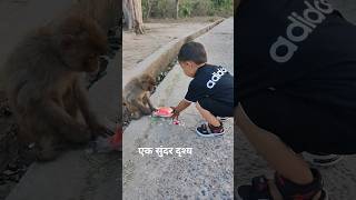 ek sudar sa drishya #shorts #haridwar #shortvideo #viral #cute