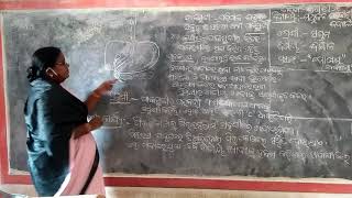 ପୋଷଣ-ପାକସ୍ଥଳୀ ରକାର୍ଯ୍ଯ(7th class)